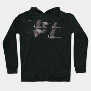 Migrating Sandhill Cranes Hoodie